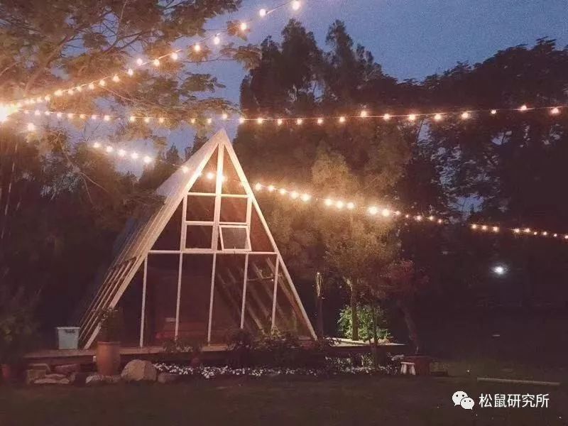 结婚时司仪问的俗气问题_结婚司仪套路问话_结婚司仪俗气问问题时怎么问