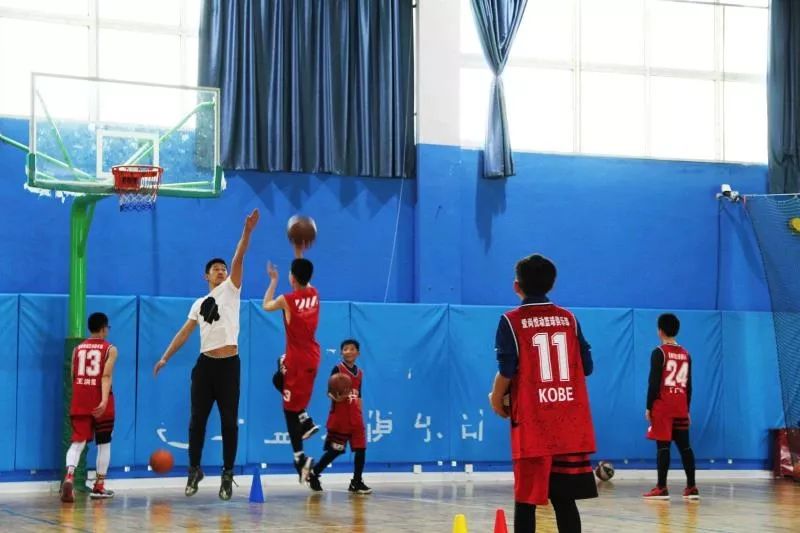 幼崽篮球比赛规则_幼儿篮球规则_幼儿园篮球规则游戏教案