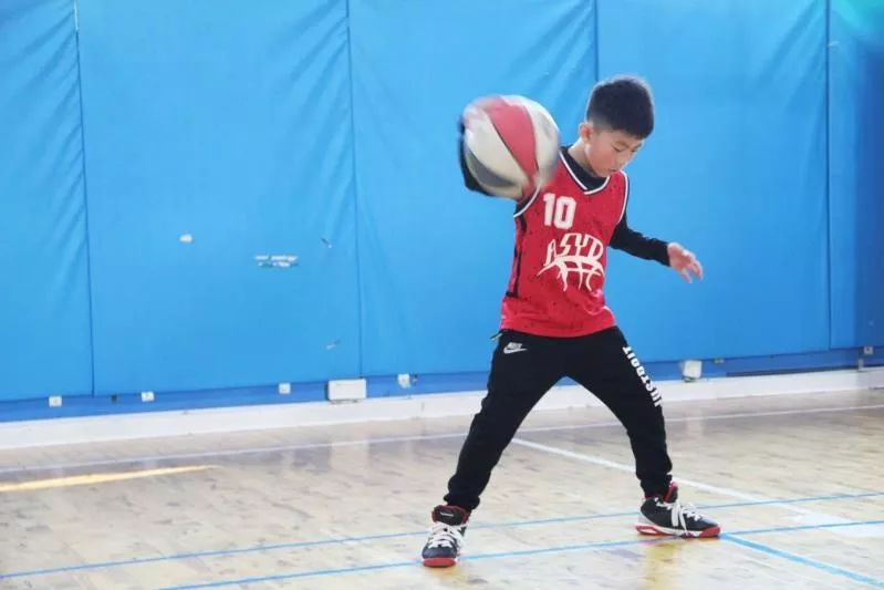 幼儿园篮球规则游戏教案_幼儿篮球规则_幼崽篮球比赛规则