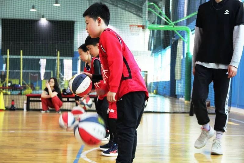 幼崽篮球比赛规则_幼儿篮球规则_幼儿园篮球规则游戏教案
