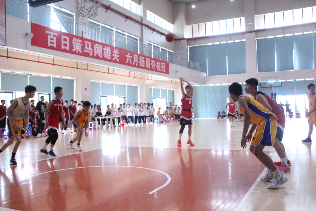 观文小学篮球比赛_区小学举行篮球比赛_前村小学篮球赛冠军有哪些