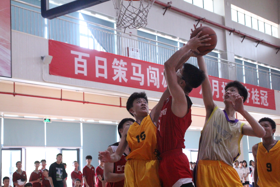 前村小学篮球赛冠军有哪些_观文小学篮球比赛_区小学举行篮球比赛