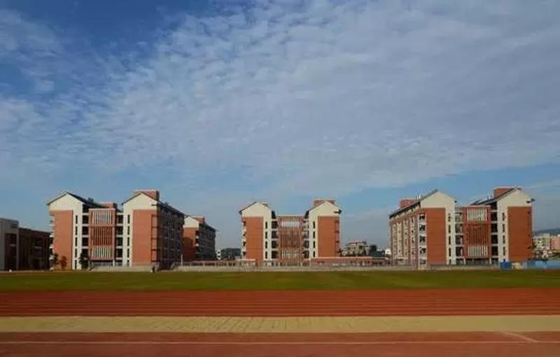 小学足球比赛冠军_小学生足球大赛_桂城小学生足球赛冠军