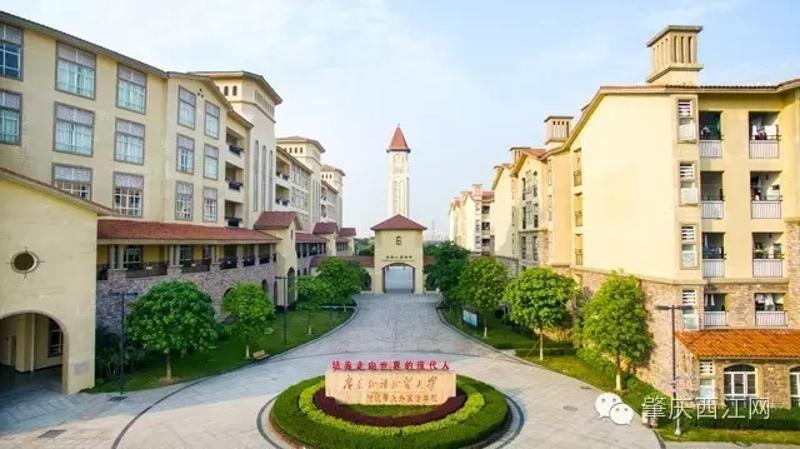 桂城小学生足球赛冠军_小学足球比赛冠军_小学生足球大赛