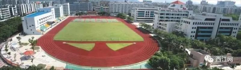 桂城小学生足球赛冠军_小学足球比赛冠军_小学生足球大赛