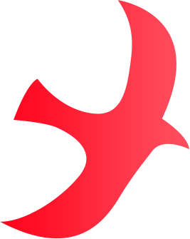 网络上没有基本常识_基本网络知识有什么_基本的常识都没有