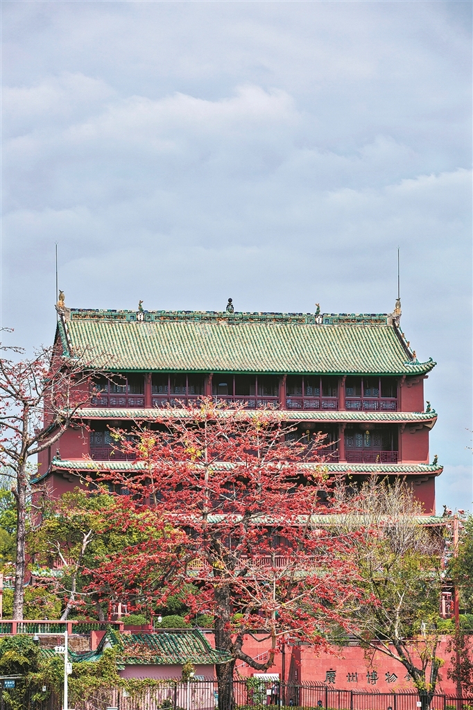 广东中山游泳队冠军_中山游泳比赛_中山游泳队广东冠军是谁