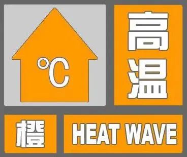 安徽篮球队历史成绩查询_安徽省篮球联赛冠军_安徽省篮球