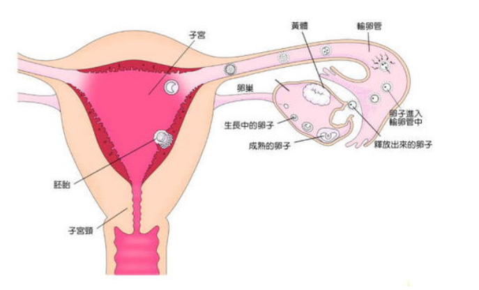 亚健康病因_亚健康就是炎症么_亚健康引起的疾病