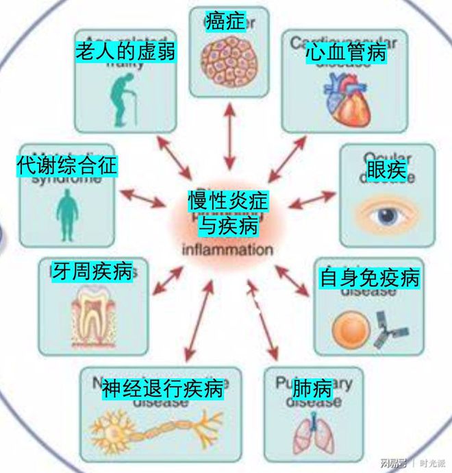 亚健康就是炎症么_亚健康病因_亚健康症状主要表现为