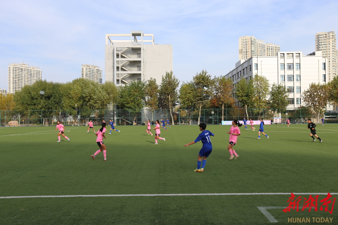 全国足球总冠军女子组是谁_足球女子冠军组全国是几名_女子世界足球冠军