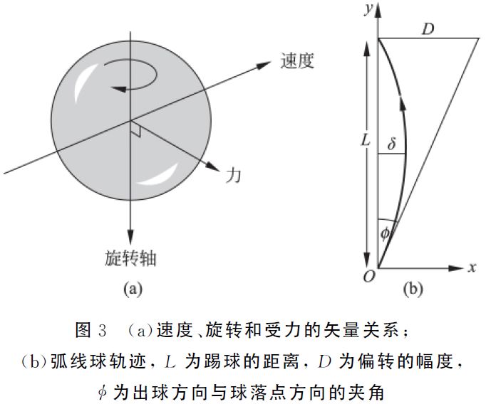 法国足球发展史_法国历史最强大的足球运动员_法国足球理念