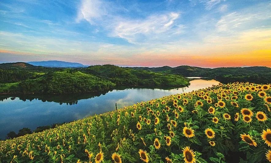 旅游+健康_亚旅旅游有限公司_亚健康旅游哪里好