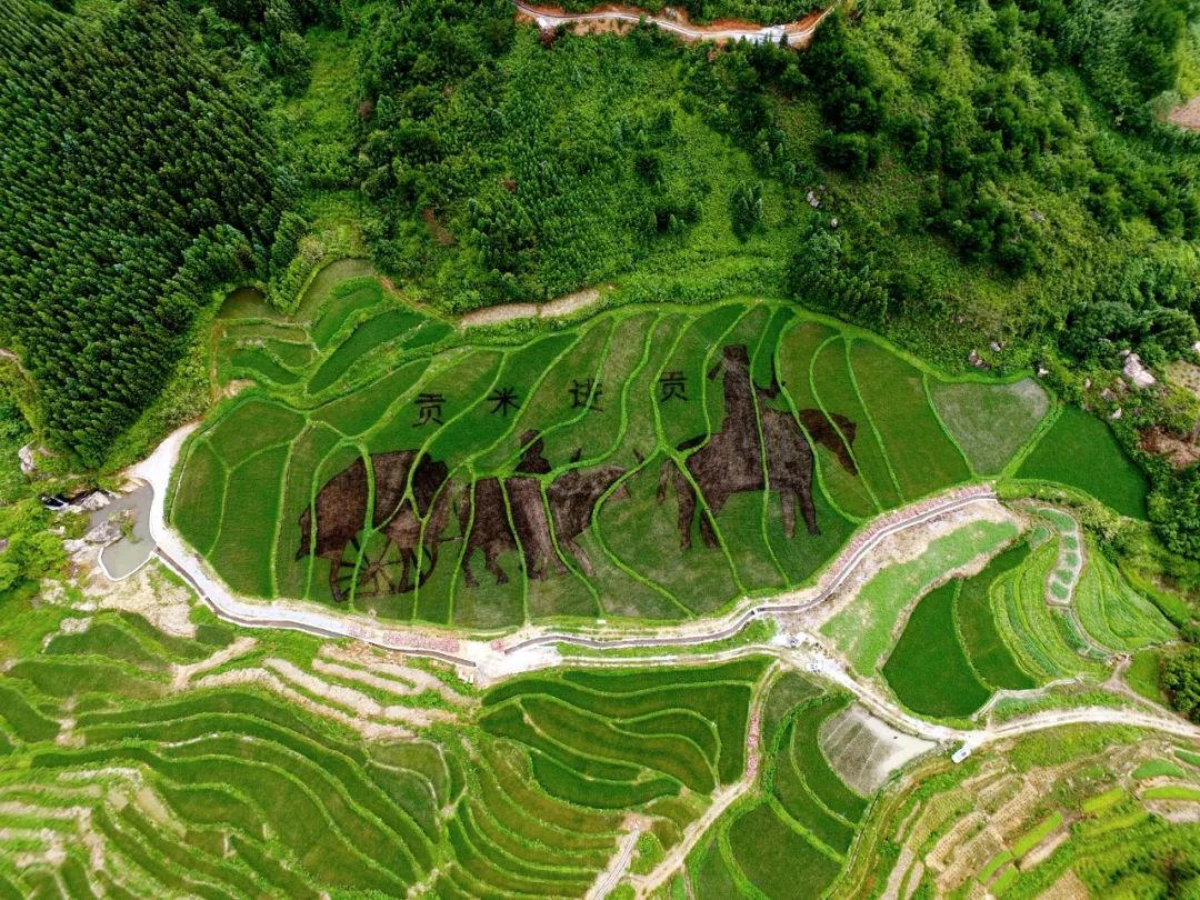 旅游+健康_亚旅旅游有限公司_亚健康旅游哪里好