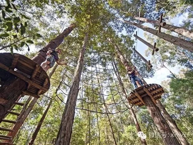 亚健康旅游哪里好_亚健康的好处_旅游+健康