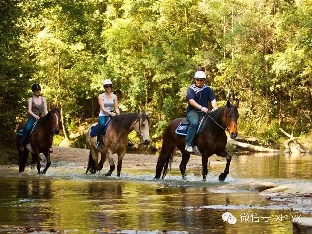 亚健康旅游哪里好_旅游+健康_亚健康的好处