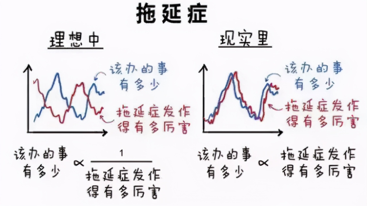 技巧生活1_生活技巧的视频_生活做某事的技巧