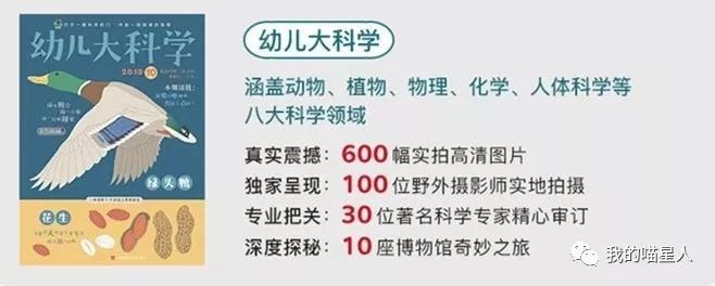 娃的生活趣事的经典_小孩趣事怎么写_小孩的趣事和糗事