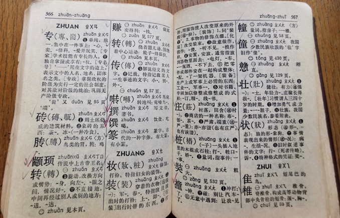 奶奶的婚纱照_孙女跟奶奶拍艺术婚纱照_婚纱孙女奶奶照拍艺术照可以吗