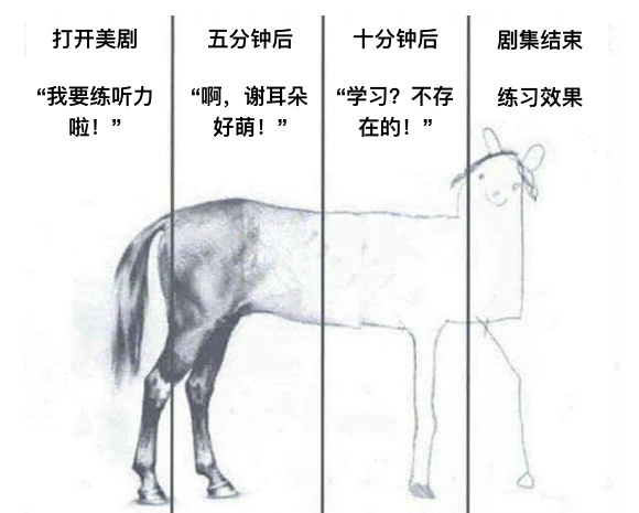 秒懂英语视频教学_懂英语_秒懂英语知识点的app