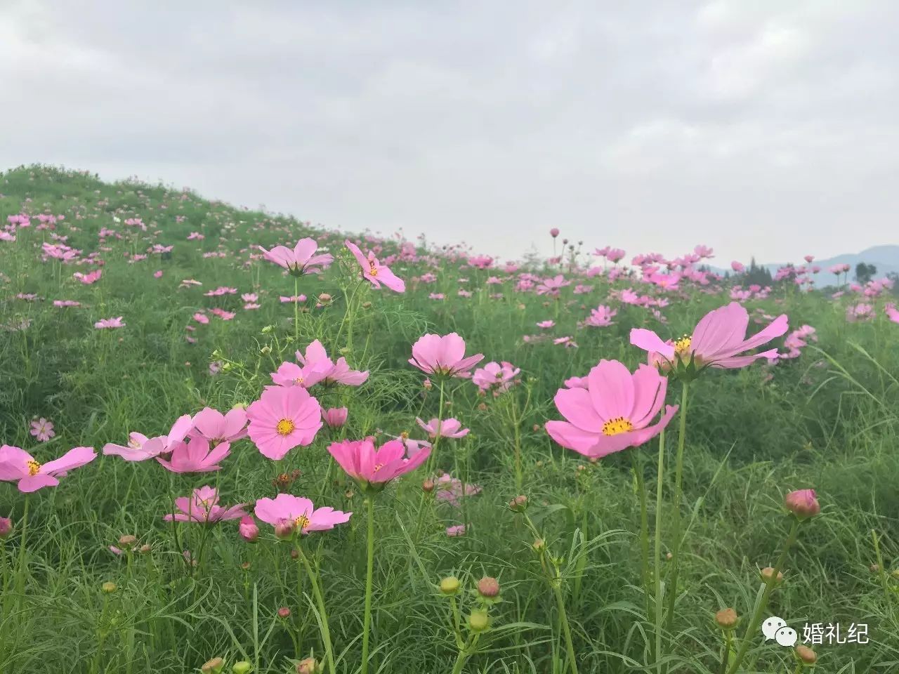 时尚外景水婚纱照_婚纱外景拍照姿势大全图片_婚纱照外景拍什么风格好看