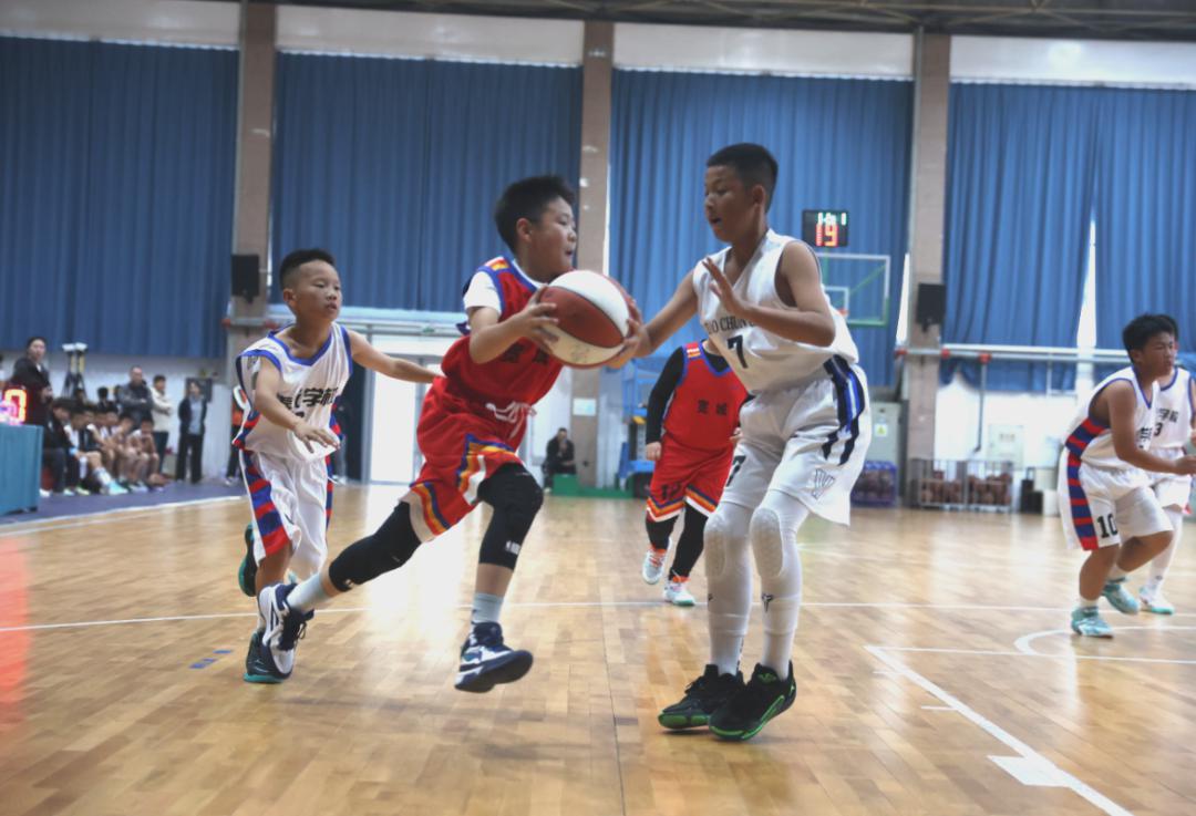 晋光小学篮球赛冠军是谁_中小学生篮球冠军赛_全国篮球小学生冠军