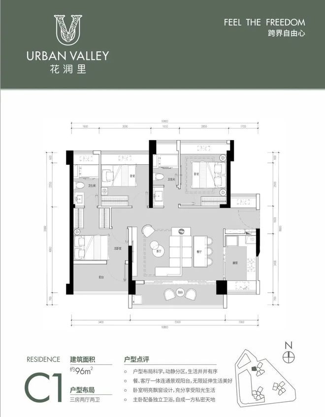 篮球历史解析图_篮球解析历史图片大全_篮球解析历史图