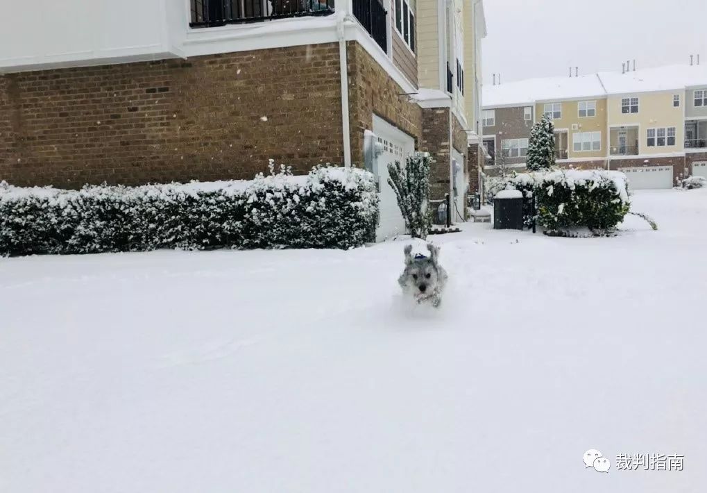 足球规则红牌是什么意思_足球英语规则_足球红牌规则英文翻译怎么写