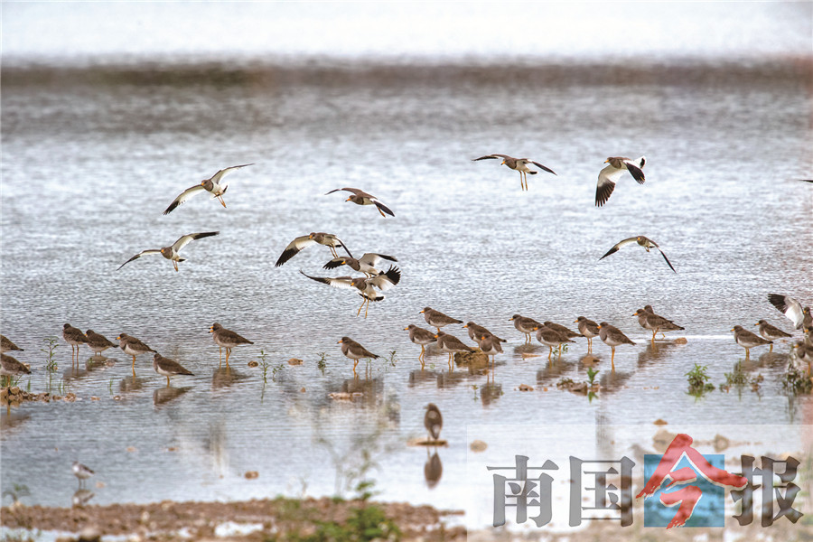 广西举重冠军平南县有多少人_广西举重世界冠军_广西平南县举重冠军有哪些