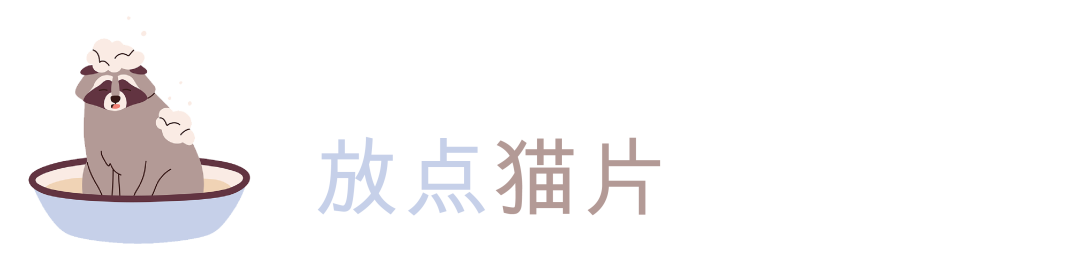 外景婚纱照光影场景图_婚纱光影外景照场景图片_婚纱光影外景照场景图