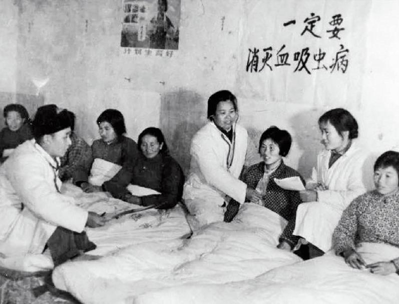 扁形动物的生活史_扁形动物的两种生活方式_动物的生活方式有哪些类型