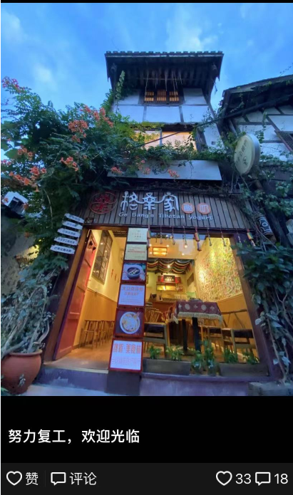 植物宠物店创业方案_网红探店创业方案设计思路_中国电玩店创业方案