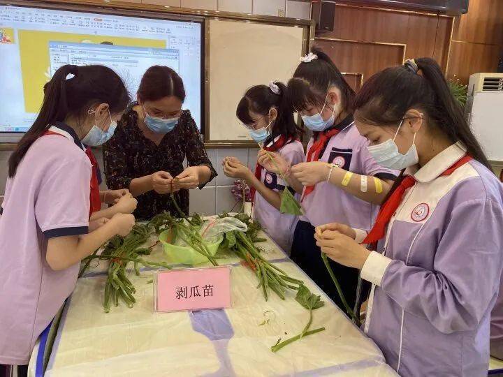 幼儿生活技能大赛项目_大赛技能幼儿生活项目怎么写_幼儿生活技能比赛活动方案