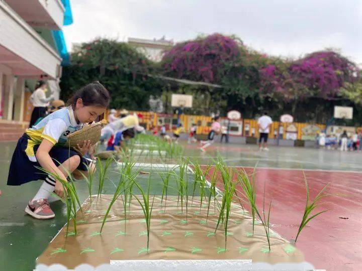 幼儿生活技能大赛项目_大赛技能幼儿生活项目怎么写_幼儿生活技能比赛活动方案