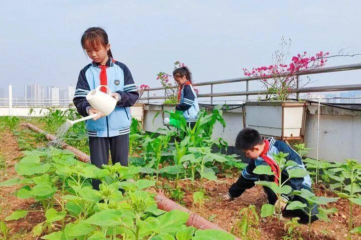 幼儿生活技能大赛项目_大赛技能幼儿生活项目怎么写_幼儿生活技能比赛活动方案