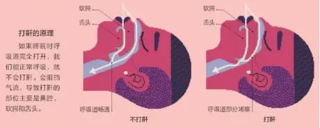 生活问题大全100个问题_生活问题大全答案和问题_关于生活百科的问题