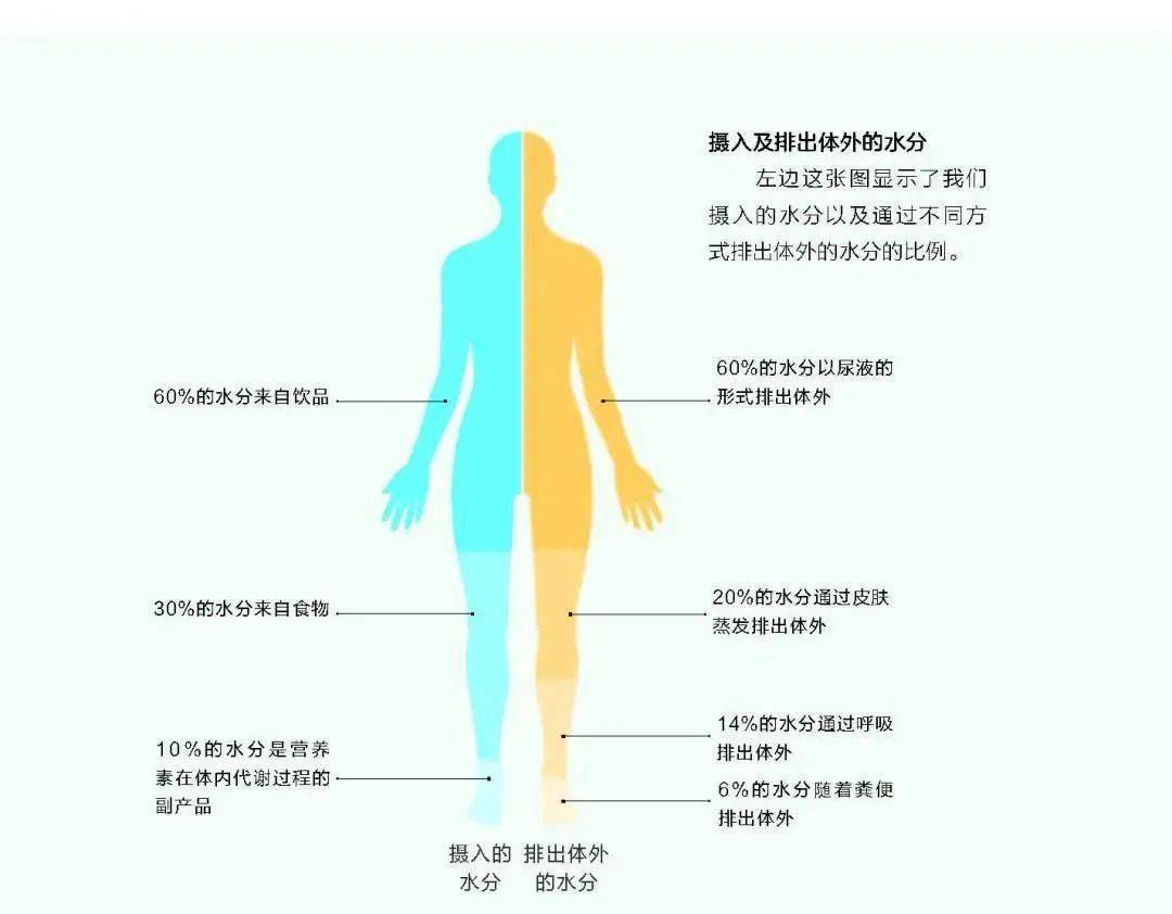 关于生活百科的问题_生活问题大全100个问题_生活问题大全答案和问题