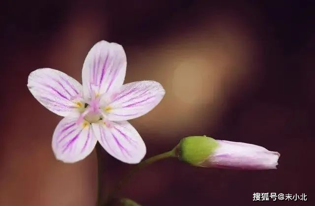 夫妻之间需要聊天吗_夫妻之间需要谈心吗_夫妻相处需要聊什么