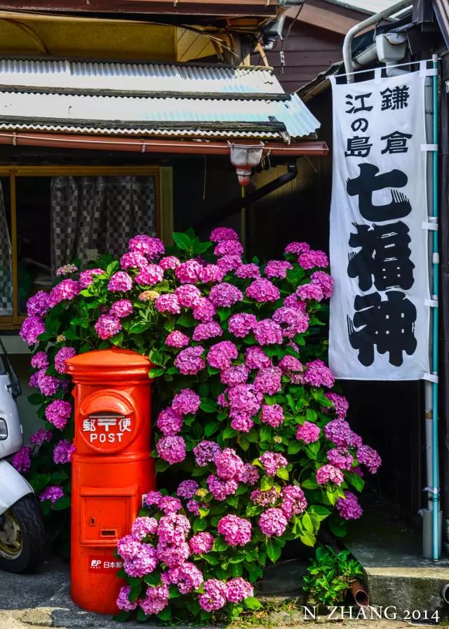 婚纱照大场景照片大全_婚纱大全高清图片_婚纱大全照场景照片大全高清