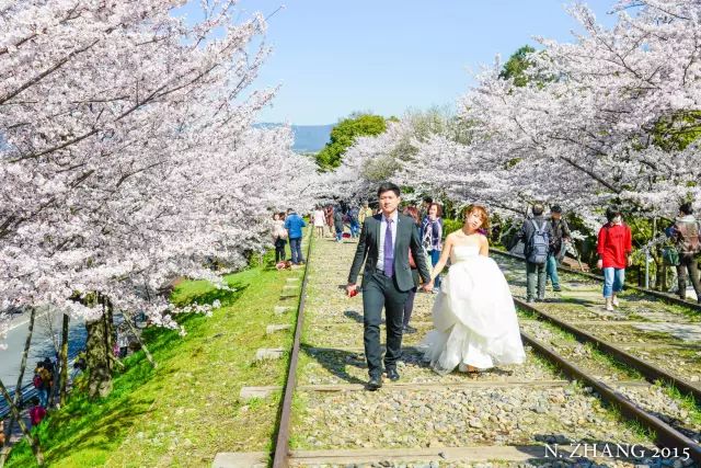 婚纱大全照场景照片大全高清_婚纱照大场景照片大全_婚纱大全高清图片