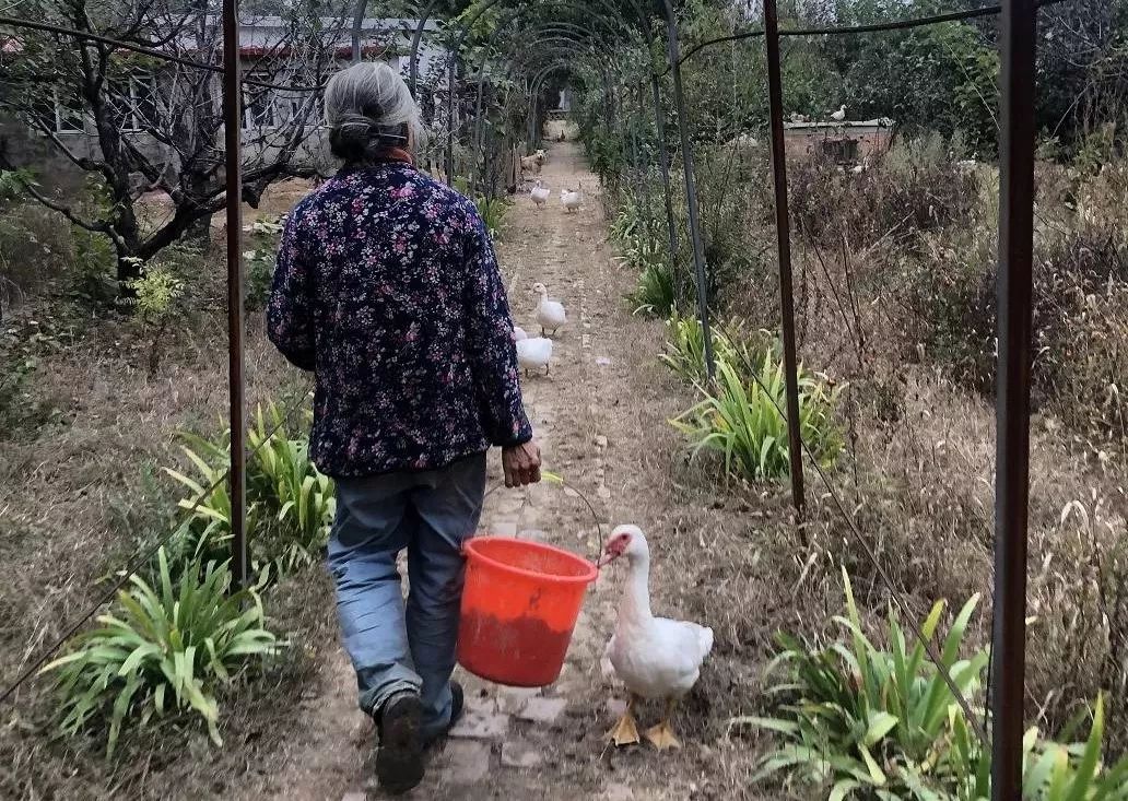 农庄不一样的生活方式_农庄模式_新型农庄生活体验活动