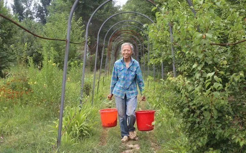 农庄不一样的生活方式_农庄模式_新型农庄生活体验活动