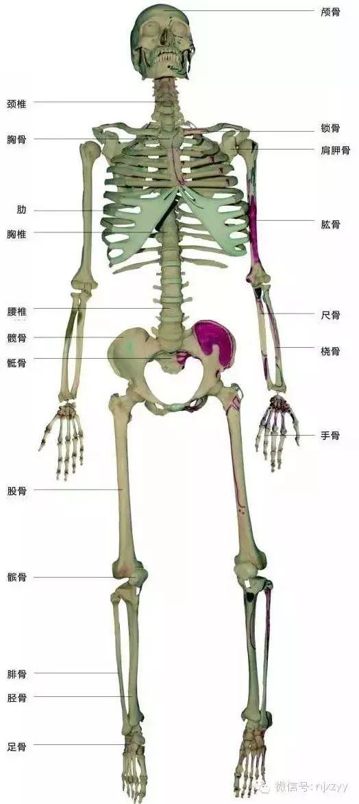 舟运动的越来越快用了什么原理_运动舟_天舟一号卫星运动类型