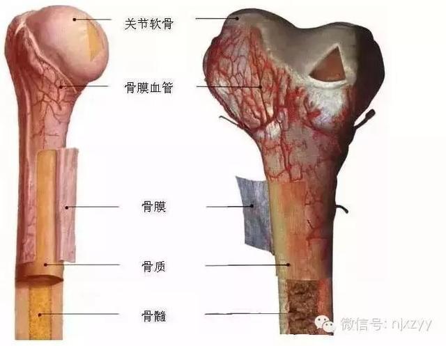 运动舟_天舟一号卫星运动类型_舟运动的越来越快用了什么原理