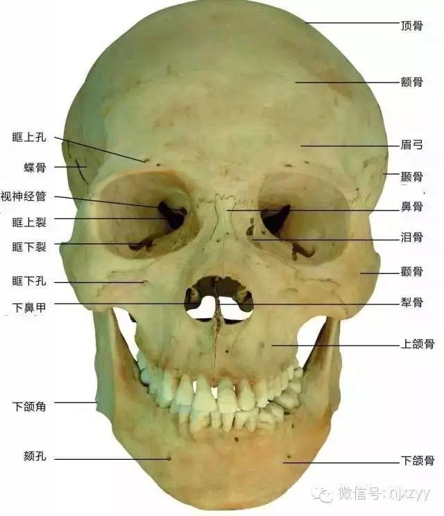 运动舟_舟运动的越来越快用了什么原理_天舟一号卫星运动类型