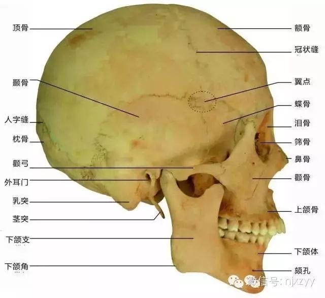 舟运动的越来越快用了什么原理_运动舟_天舟一号卫星运动类型