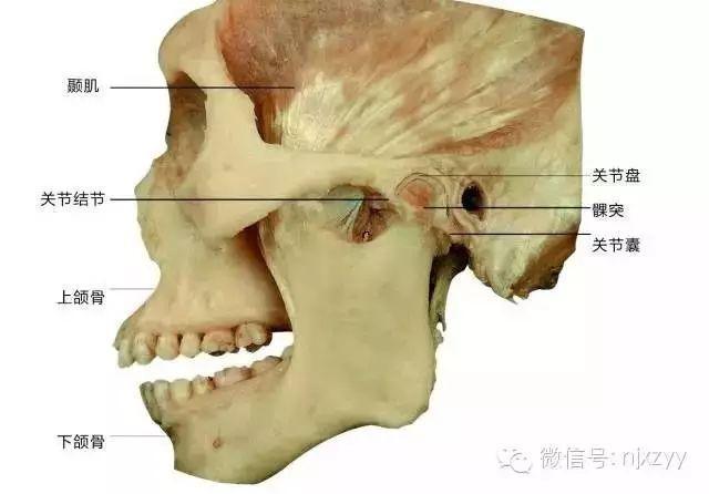 天舟一号卫星运动类型_舟运动的越来越快用了什么原理_运动舟