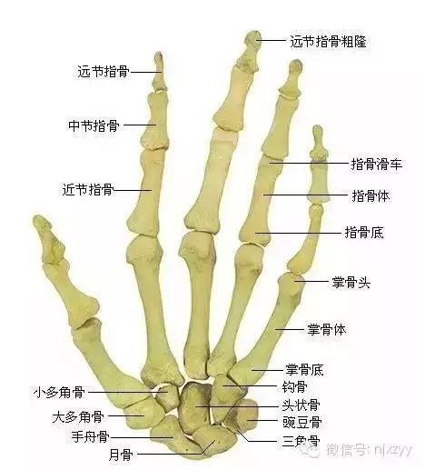 天舟一号卫星运动类型_运动舟_舟运动的越来越快用了什么原理