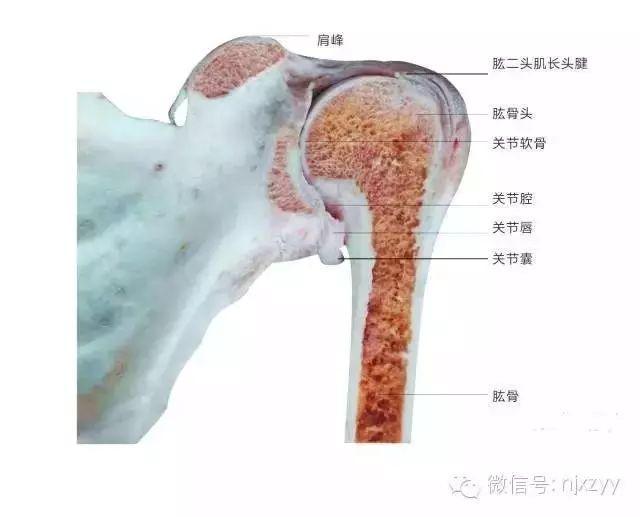 天舟一号卫星运动类型_运动舟_舟运动的越来越快用了什么原理