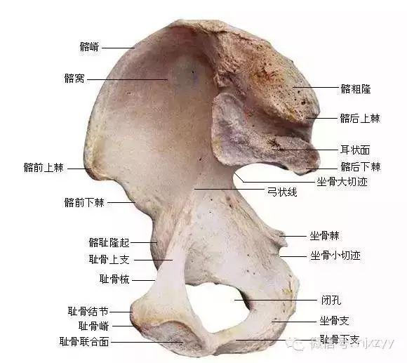 舟运动的越来越快用了什么原理_天舟一号卫星运动类型_运动舟